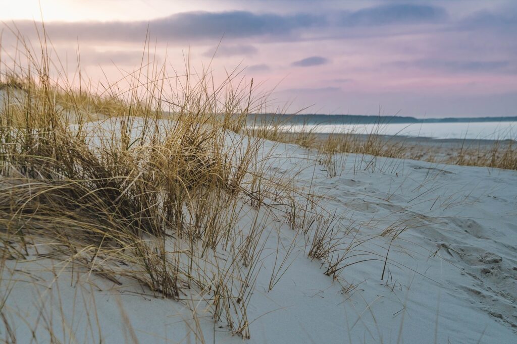 baltic sea, dune grass, beach-4095045.jpg